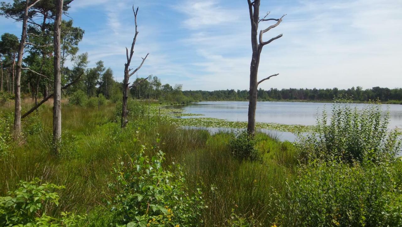 Gastenverblijf 'T Nagtegaeltje Sint-Oedenrode Esterno foto