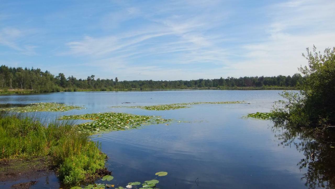 Gastenverblijf 'T Nagtegaeltje Sint-Oedenrode Esterno foto