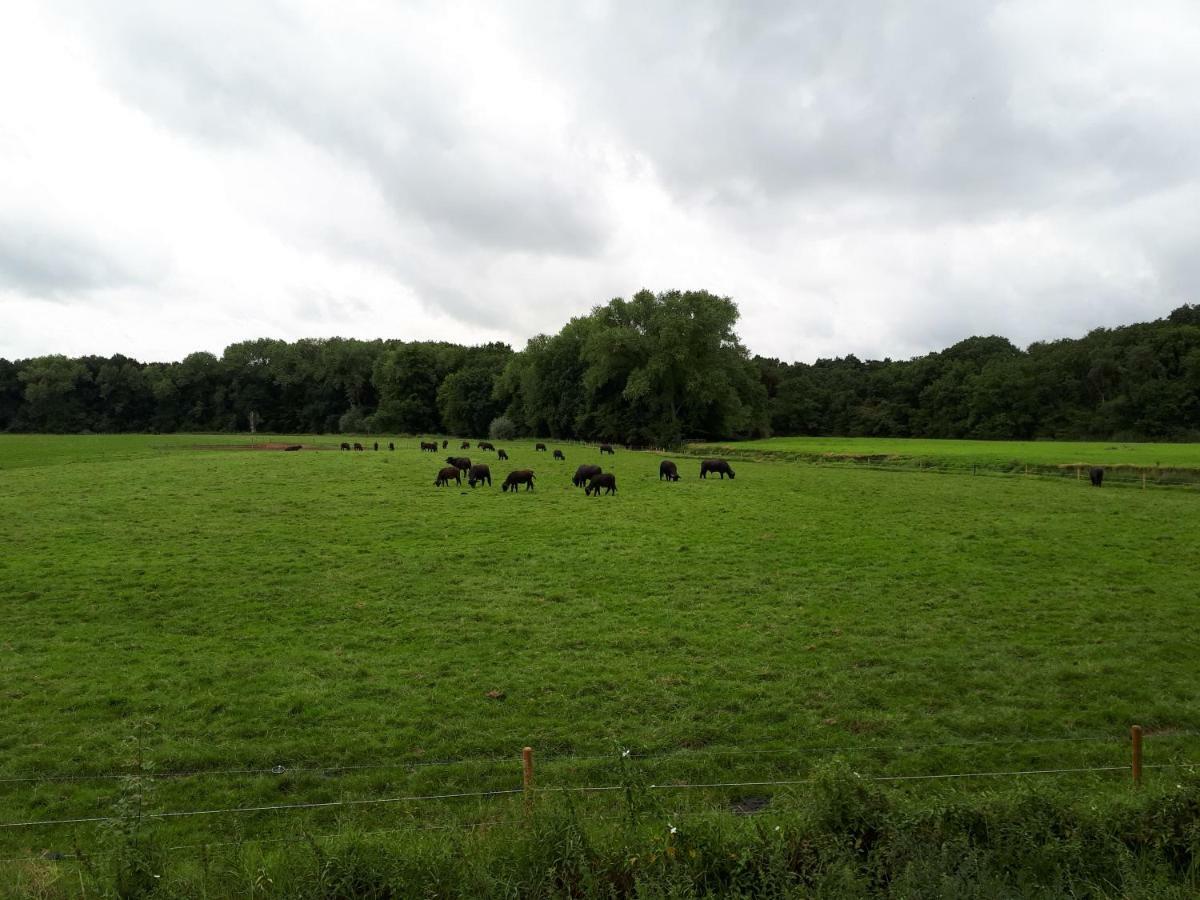 Gastenverblijf 'T Nagtegaeltje Sint-Oedenrode Esterno foto