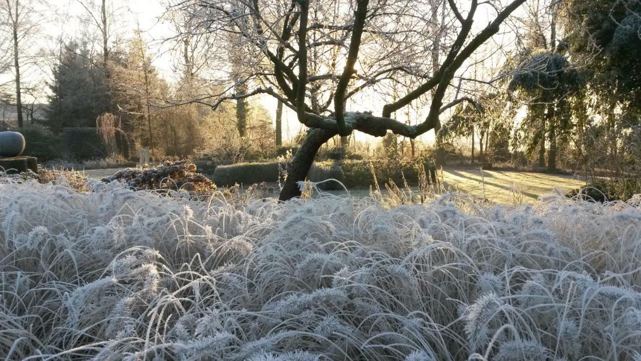 Gastenverblijf 'T Nagtegaeltje Sint-Oedenrode Esterno foto