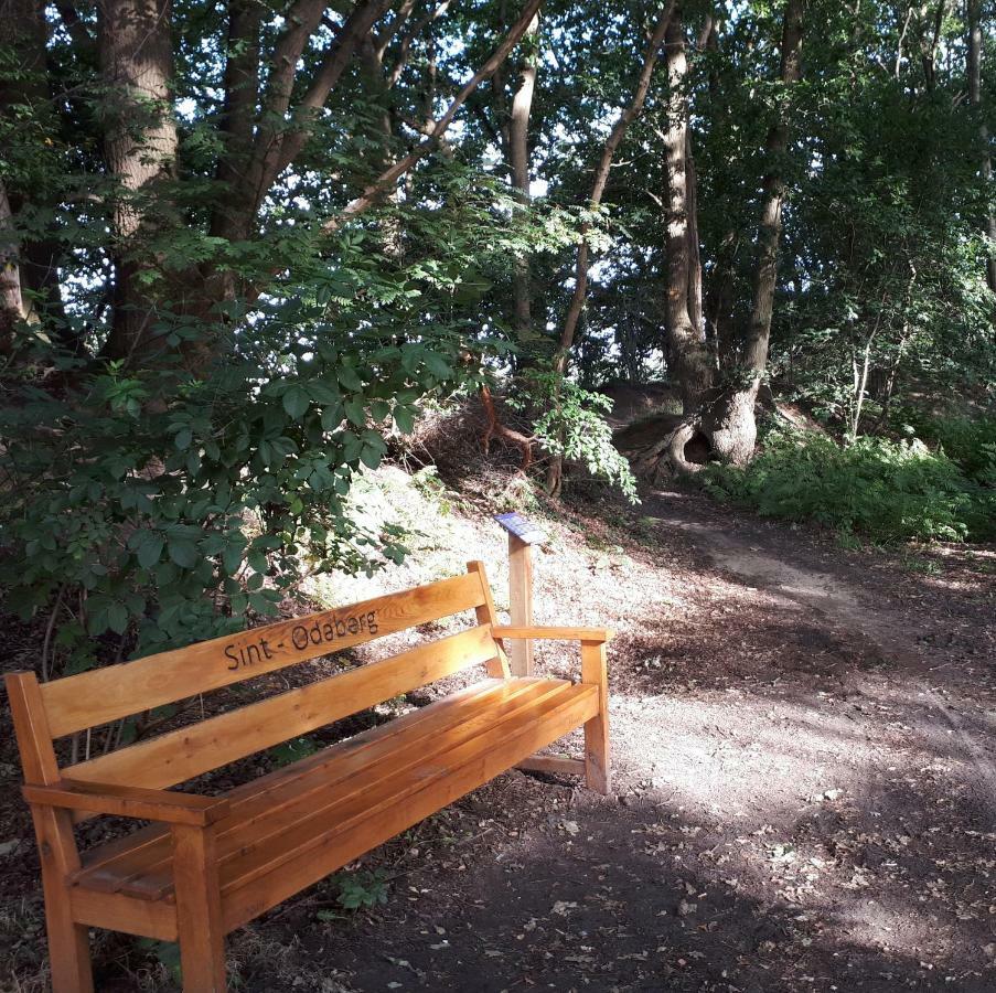 Gastenverblijf 'T Nagtegaeltje Sint-Oedenrode Esterno foto